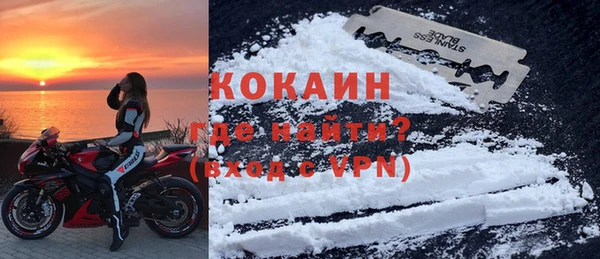 хмурый Арсеньев