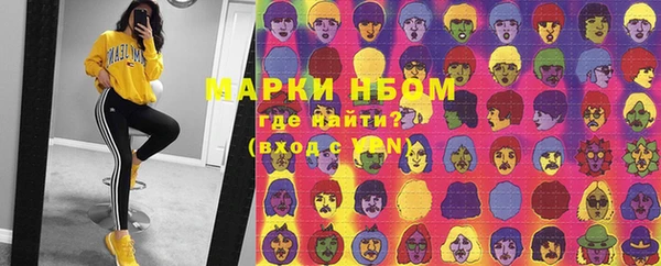 хмурый Арсеньев