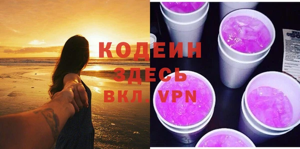 хмурый Арсеньев