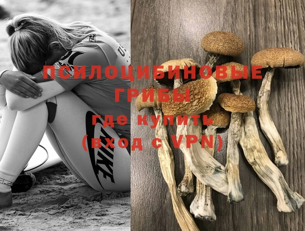 винт Армянск
