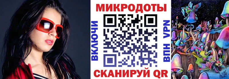 площадка телеграм  OMG вход  Новая Ладога  Псилоцибиновые грибы Psilocybe 